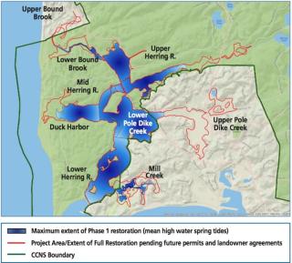 Figure 1. Extent of Phase 1 Restoration, Project Site Area of NOI