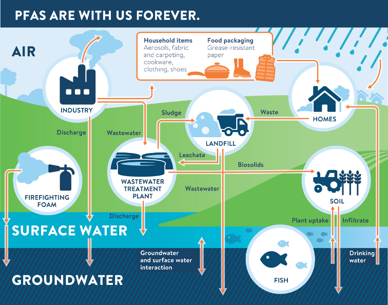 PFAS Cycle