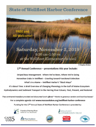 Poster for event shows picture of marshland and event information