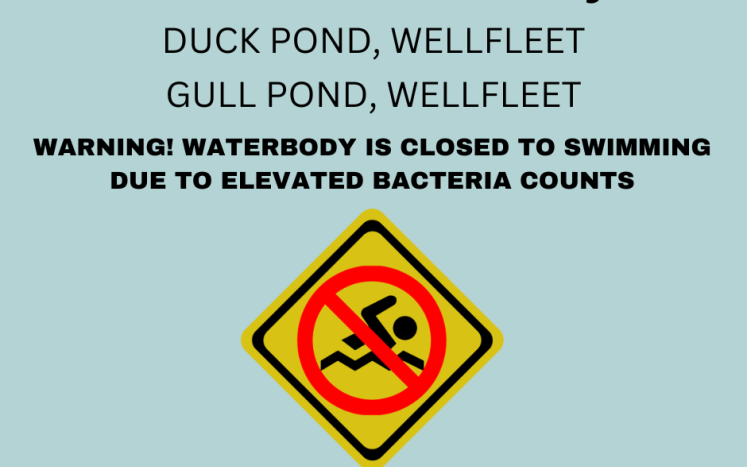 Public Health Advisory: Duck and Gull Pond Closure 